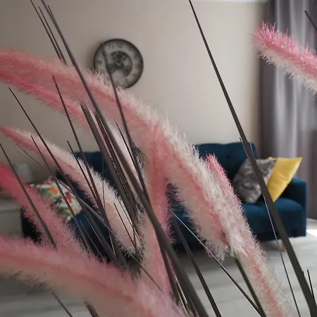 Kghn Wyszynskiego Ii Stettin